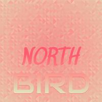 North Bird