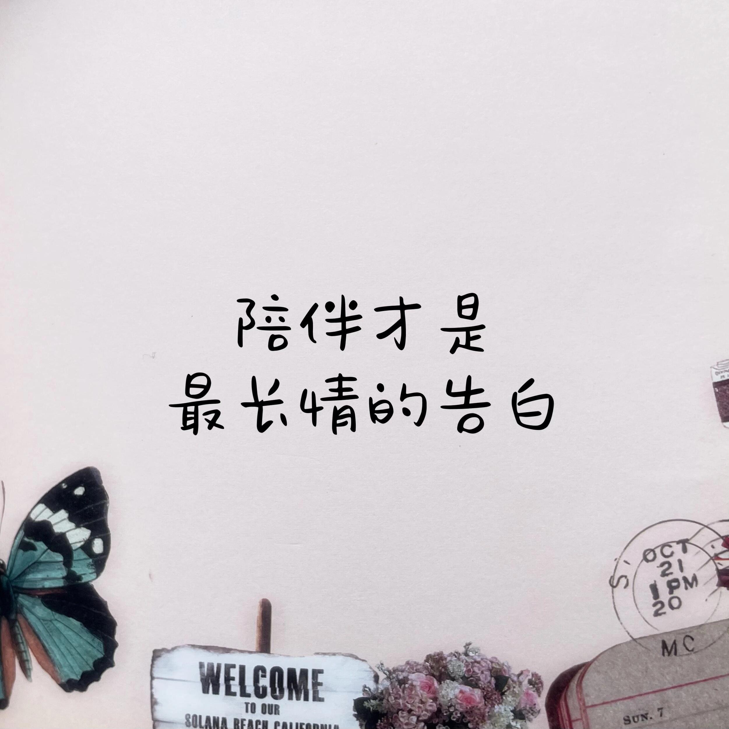 陪伴是最长情的告白封面