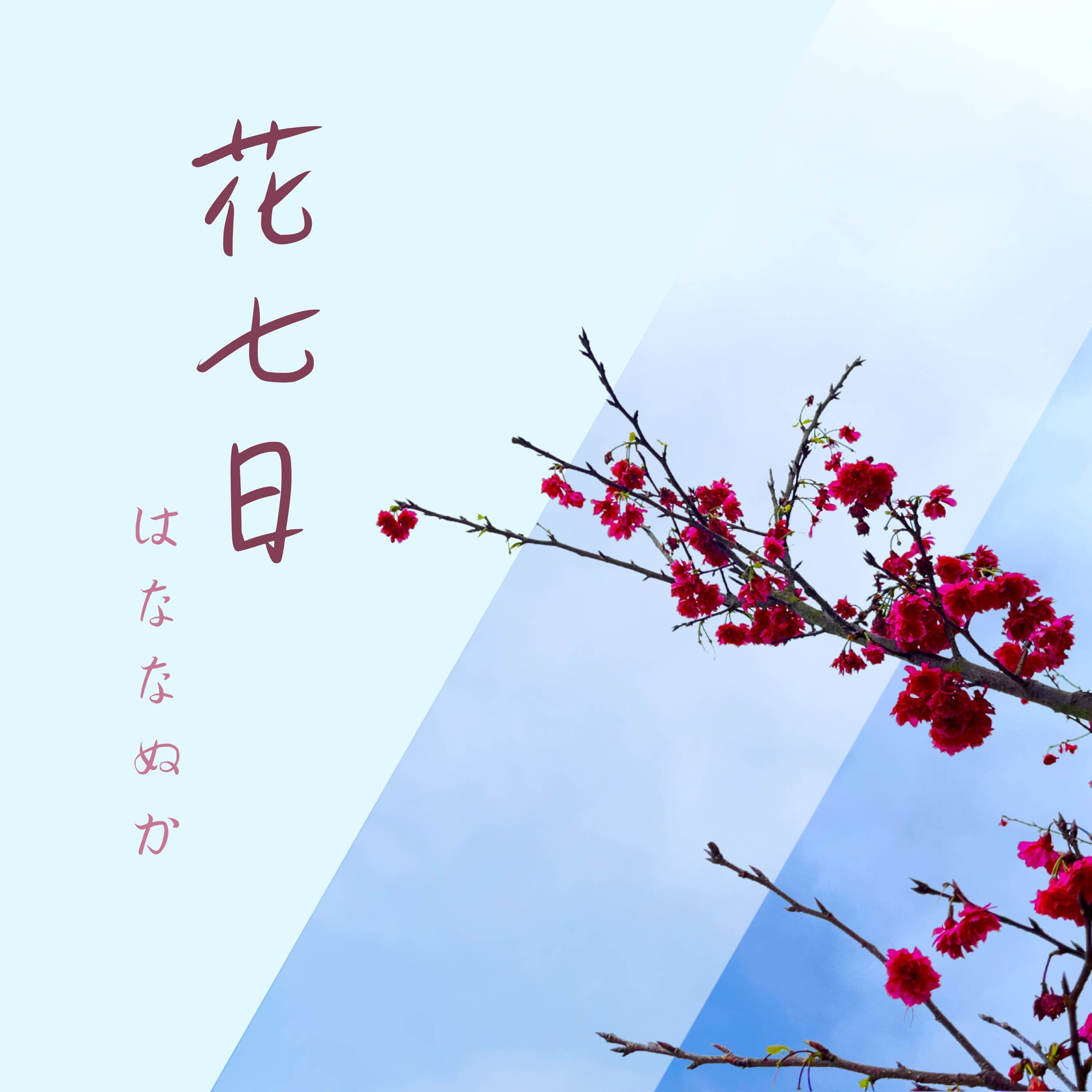 花影封面