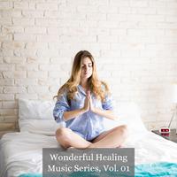 Wonderful Healing Music Series, Vol. 01