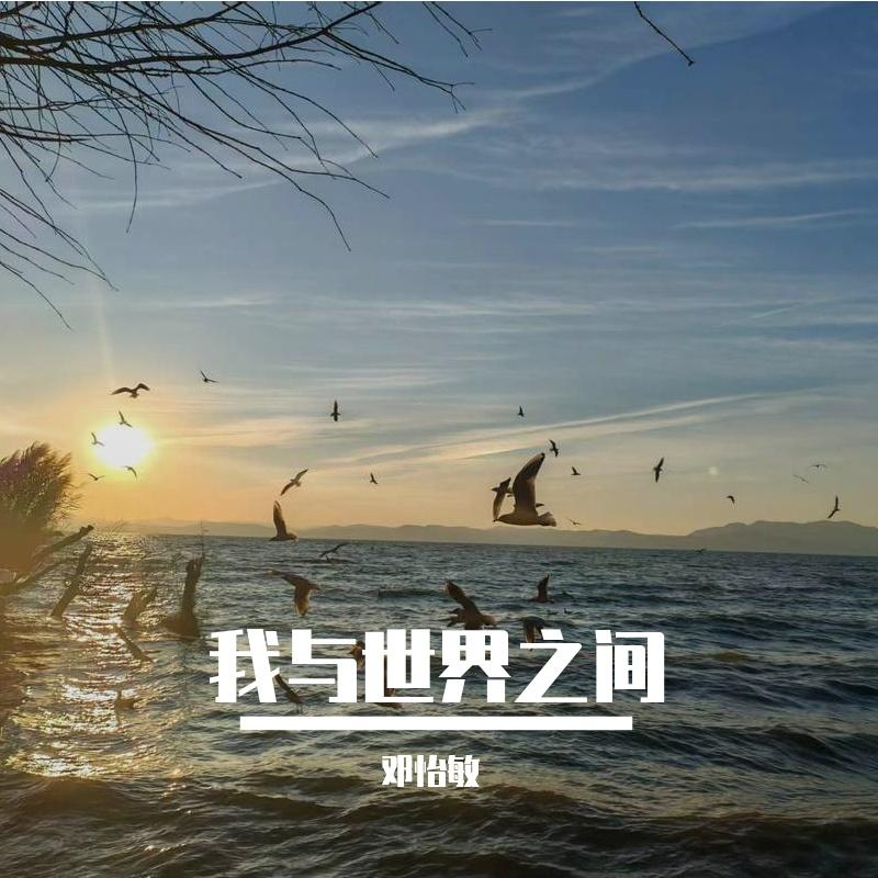不对称关系封面