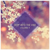 Deep Into the Vibe, Vol. 9