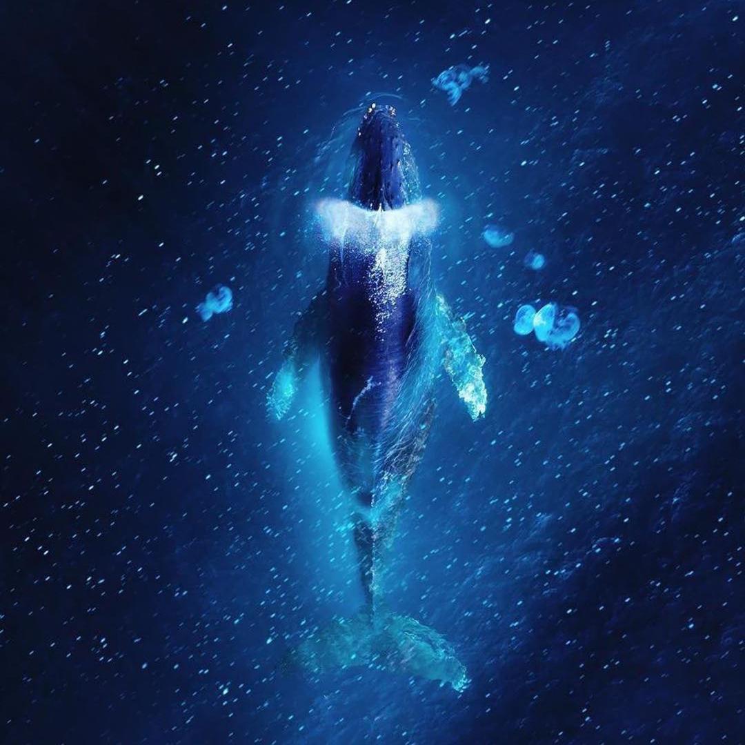 昨日青空-弹唱音频_邹俊健_邹俊健的钢琴弹唱合辑 | 在线播放_昨日青空-弹唱音频歌词_昨日青空-弹唱音频下载 | 网易云音乐