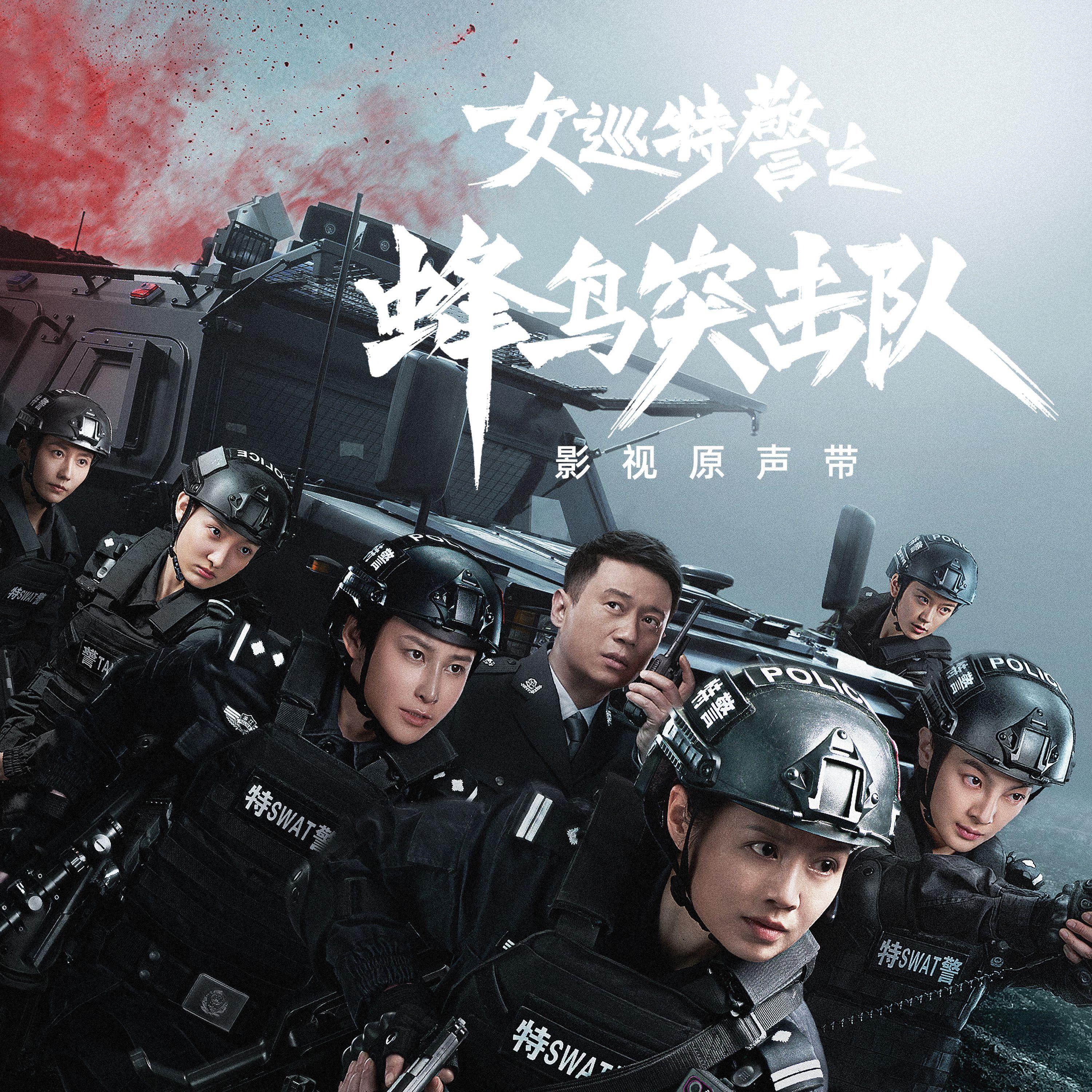 同归（《女巡特警之蜂鸟突击队》片尾曲）封面
