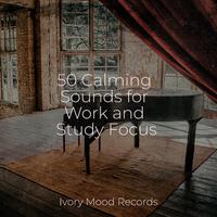 50 Calming Sounds for Work and Study Focus