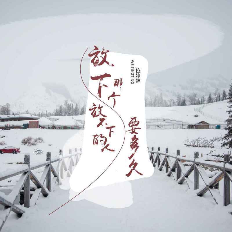 放下那个放不下的人要多久 - 位婷婷封面