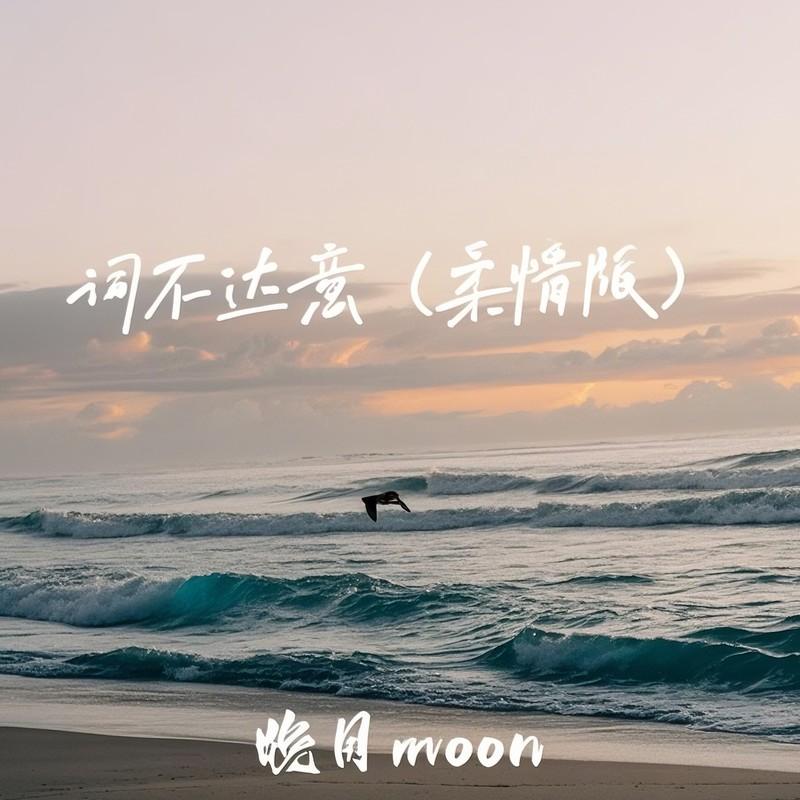 词不达意 (柔情版)封面