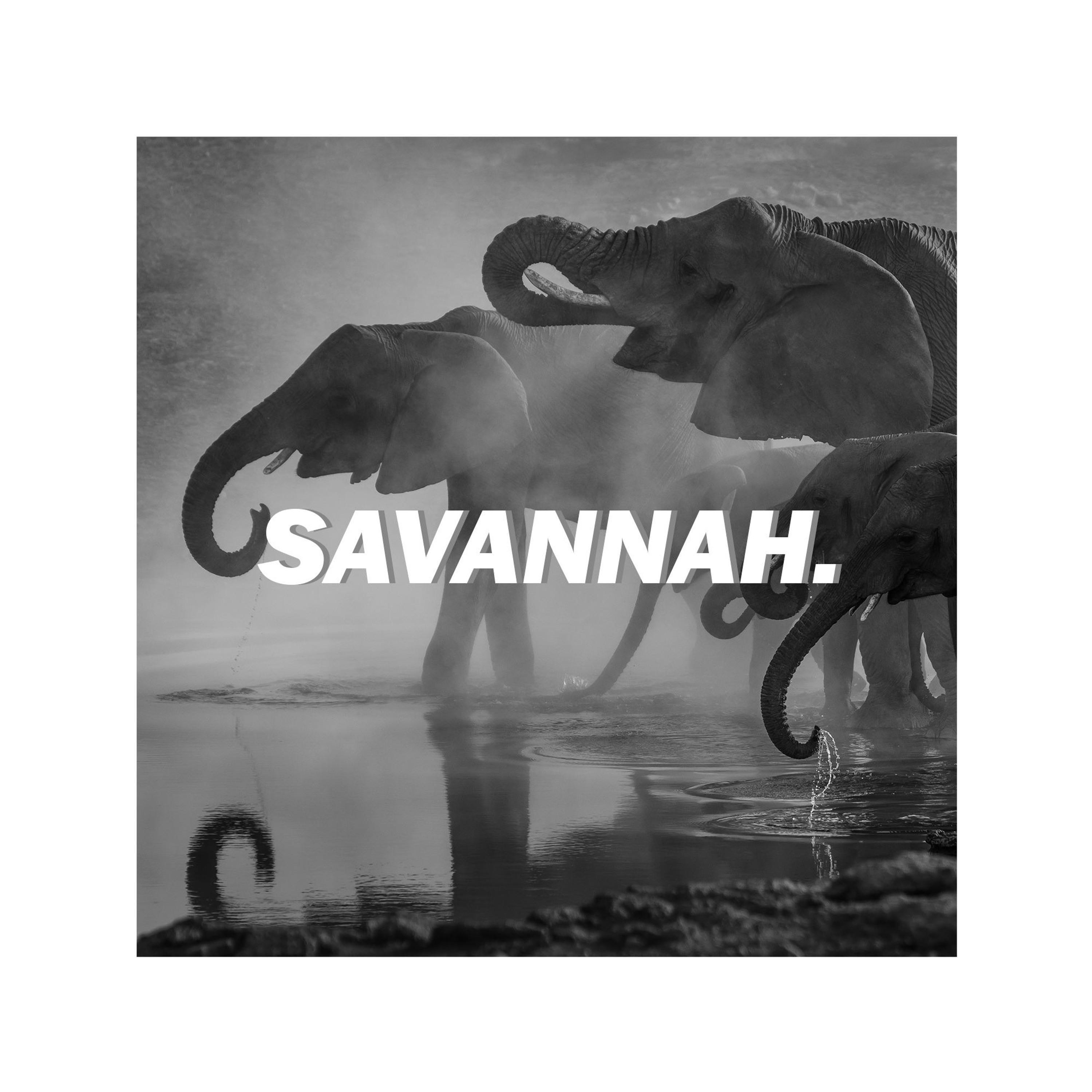 SAVANNAH.