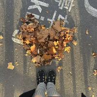 Olinsll资料,Olinsll最新歌曲,OlinsllMV视频,Olinsll音乐专辑,Olinsll好听的歌