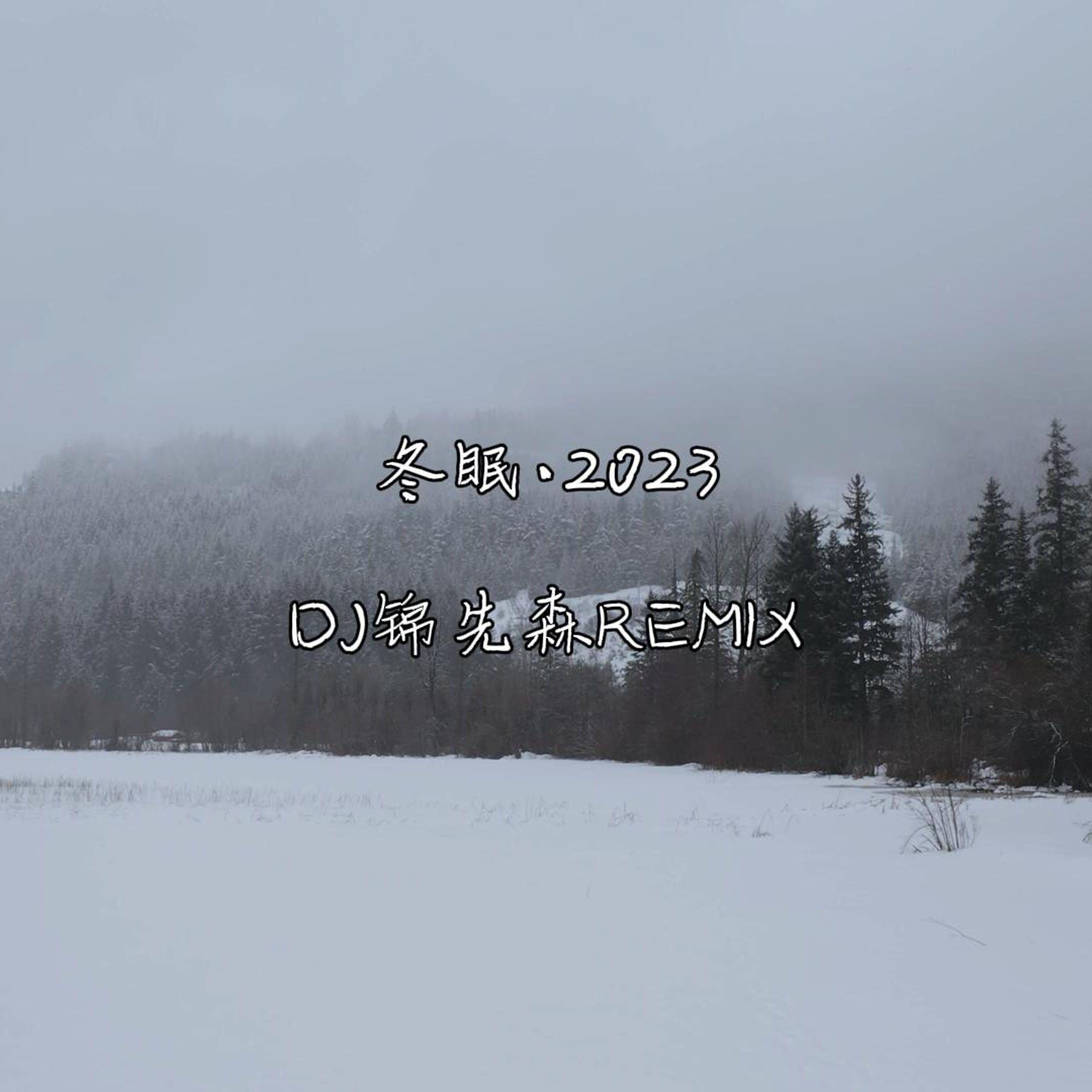 冬眠 · 2023 - DJ锦先森封面