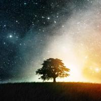 tothesky资料,tothesky最新歌曲,totheskyMV视频,tothesky音乐专辑,tothesky好听的歌