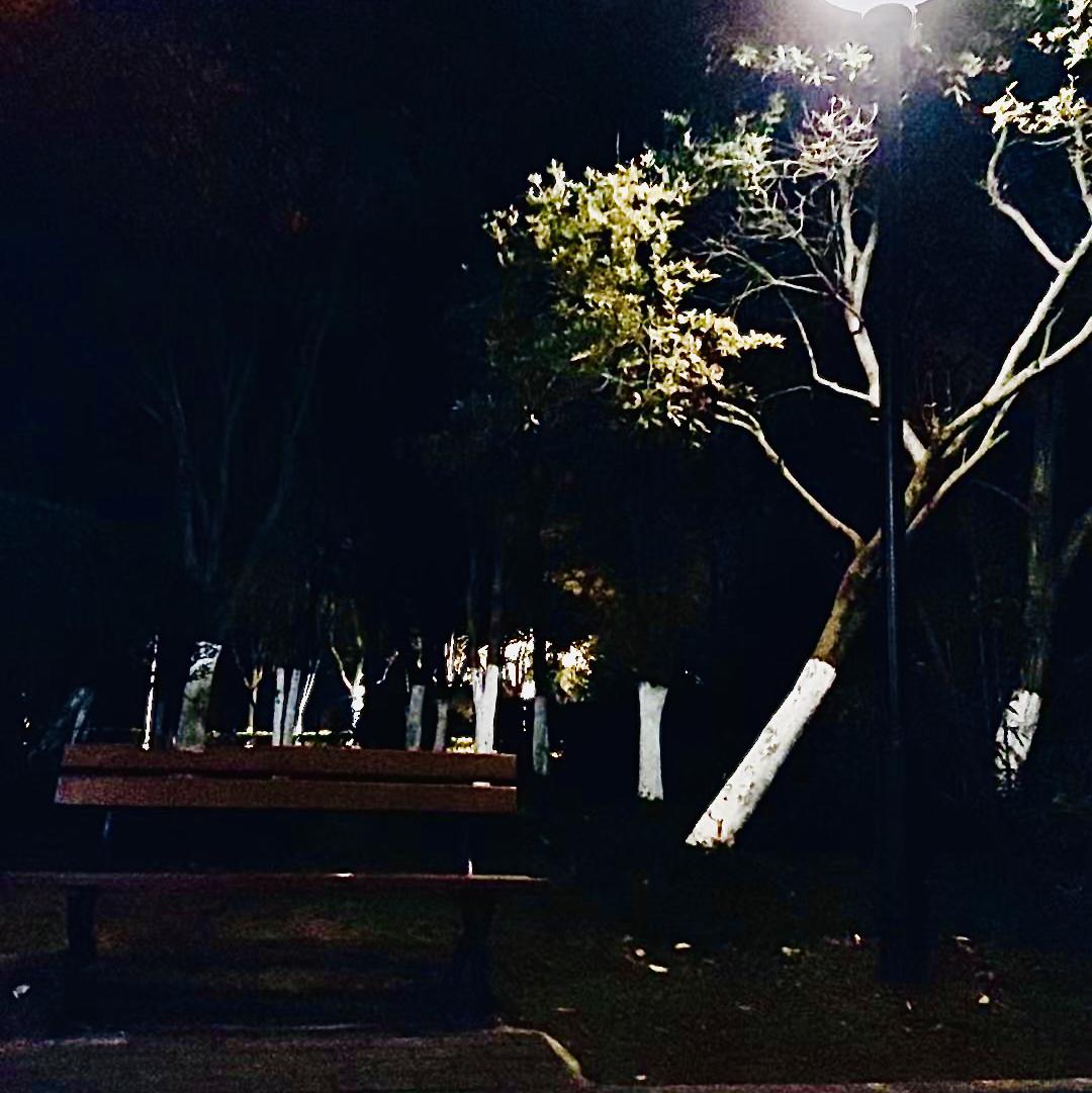 雨痕封面