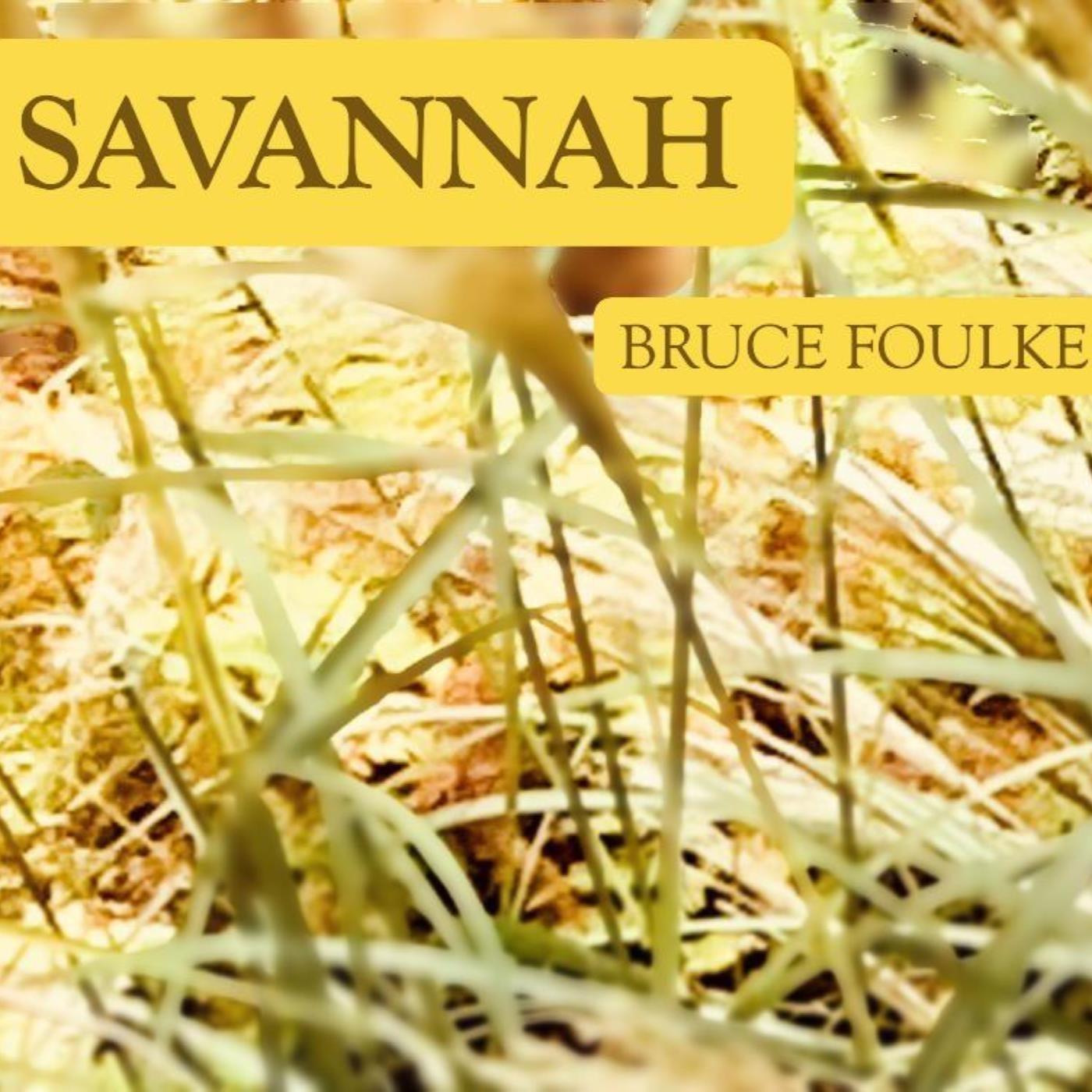 All the Pretty Little Horses (feat. Jacqueline Schwab)