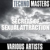 Techno Masters: Secrets of ****** Attraction