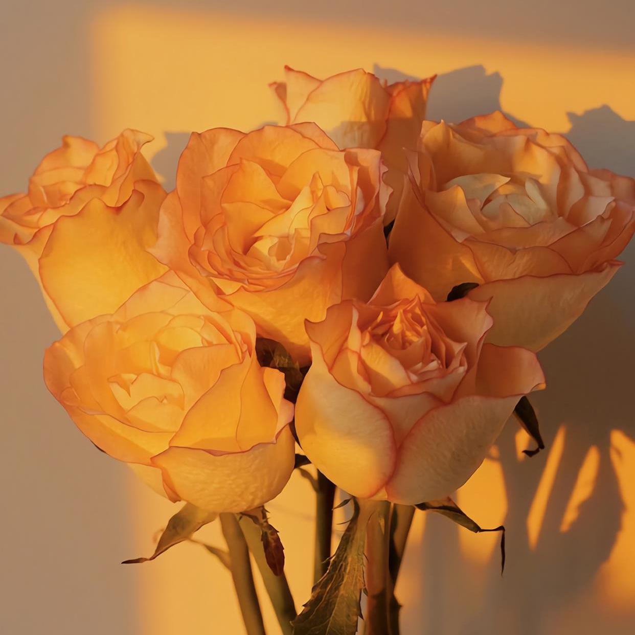 Don't You Worry Child（0.8x）