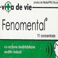 Fenomental