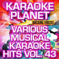 Various Musical Hits, Vol. 43 (Karaoke Planet)