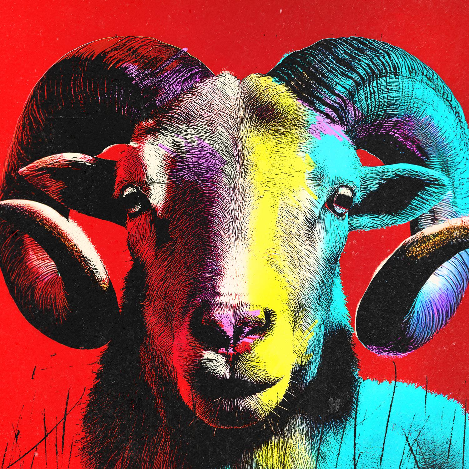 Seguirem Somiant (En Directe al Palau Sant Jordi, novembre 2022)