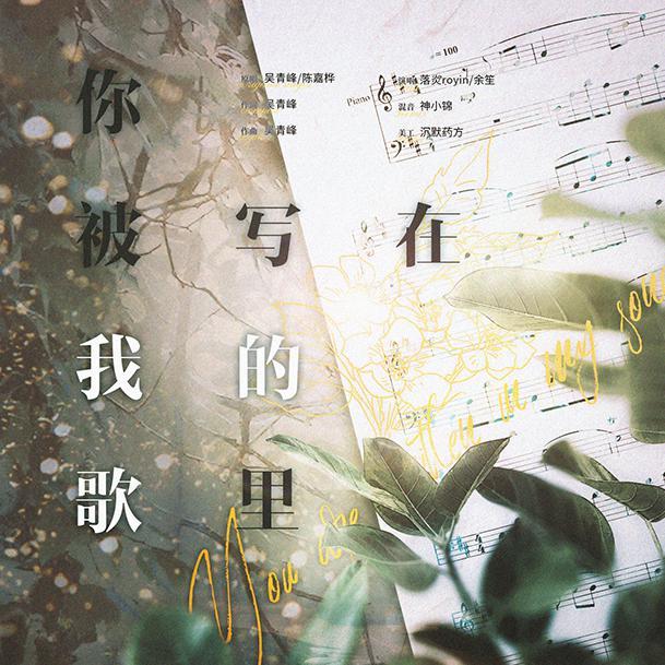 你被写在我的歌里封面