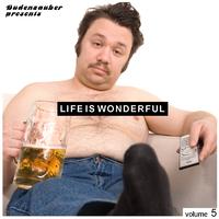 Budenzauber Pres. Life Is Wonderful Vol. 5 - Minimal Tech-House Edition