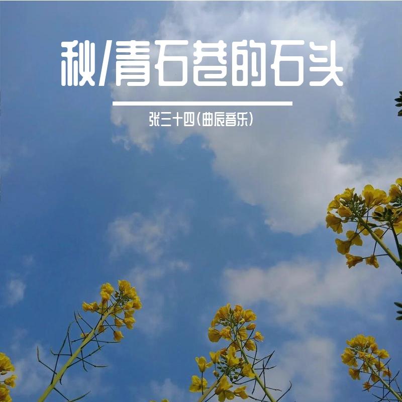 青石巷的石头 和声版封面