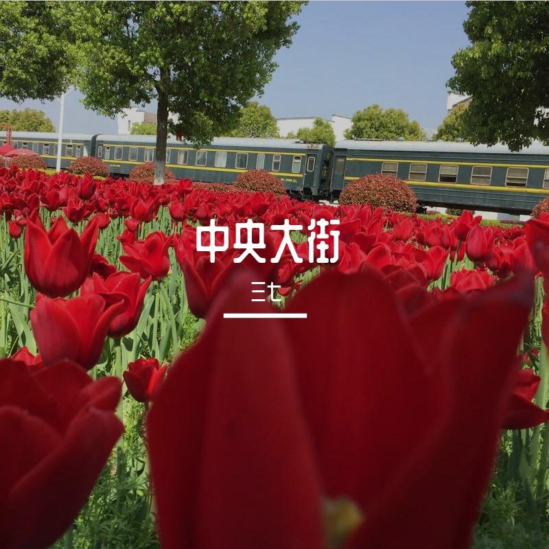 水云间 伴奏 - 三七、若溪(虚拟歌手)封面