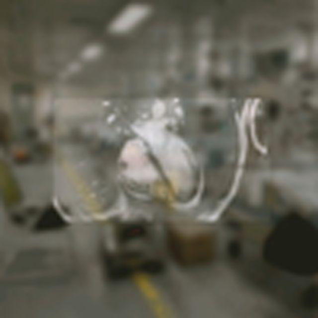 生命流封面