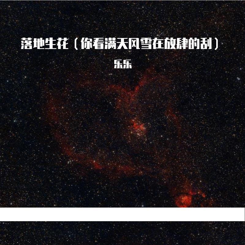 落地生花(你看满天风雪在放肆的刮)封面