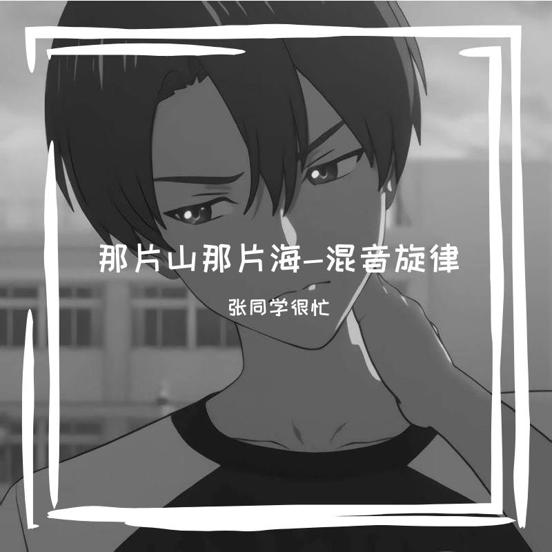 那片山那片海-DJ旋律混音版封面
