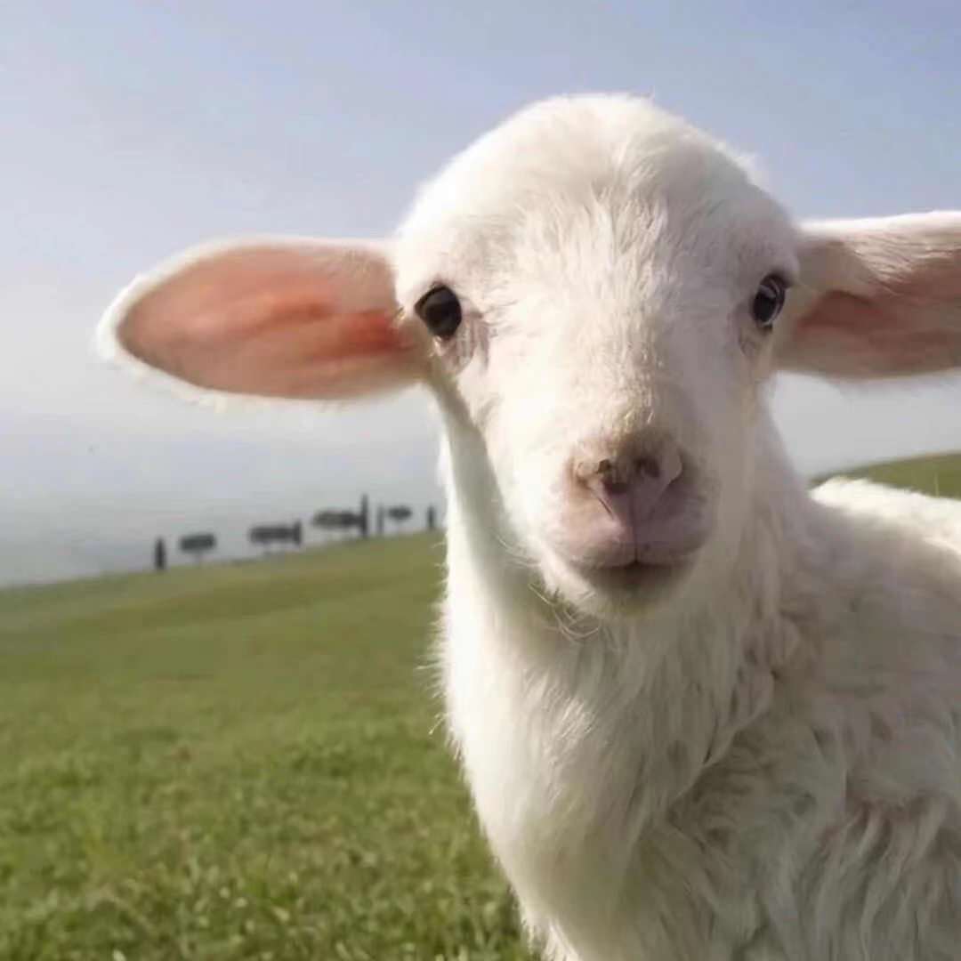 LEAH韩舞I Am The Best+开场4.7版