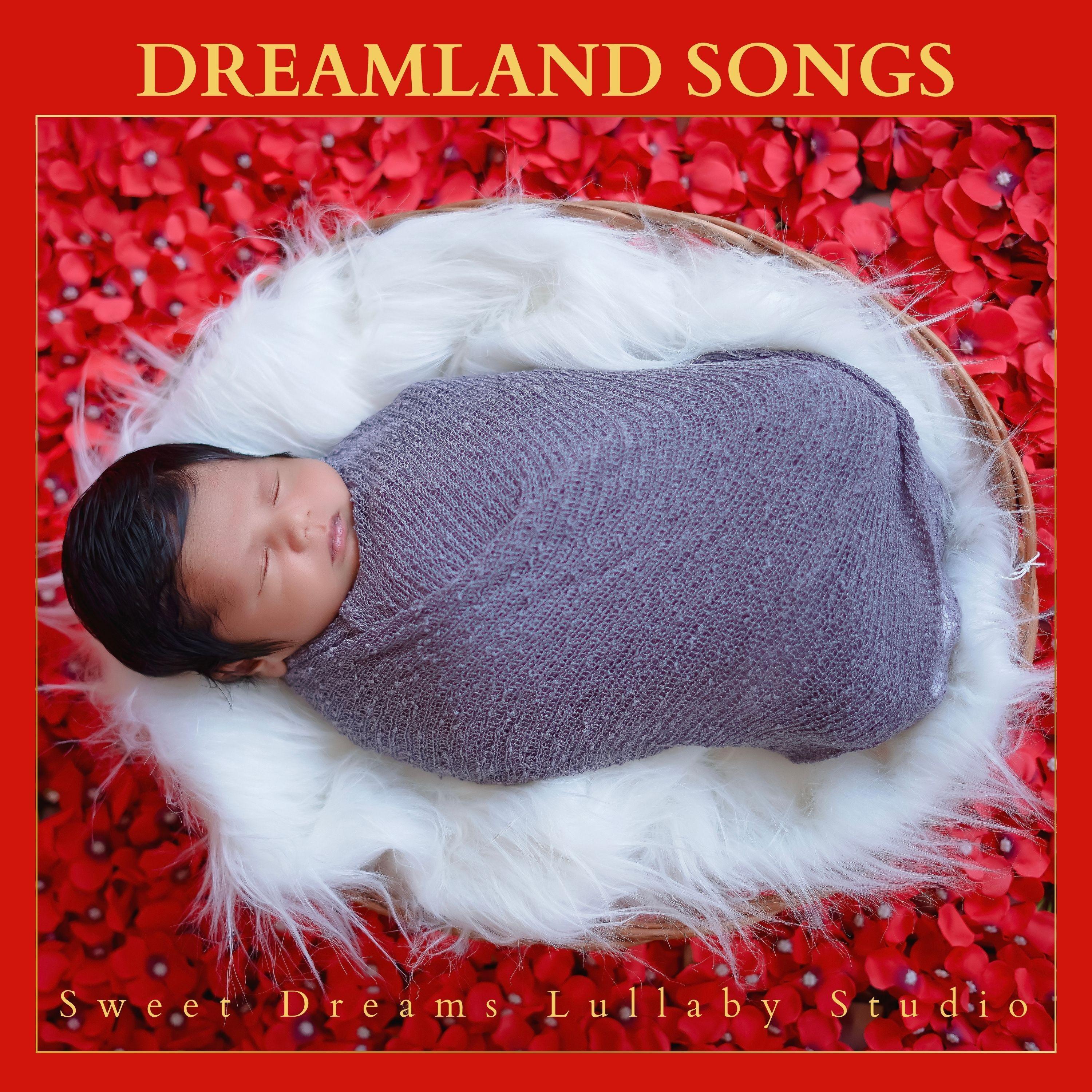 Classical Lullabies Sweet Dreams Lullaby Studio 单曲 网易云音乐