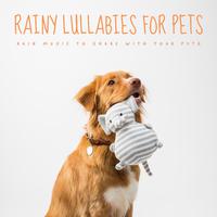 Rainy Lullabies For Pets: Rain Music To Share With Your Pets