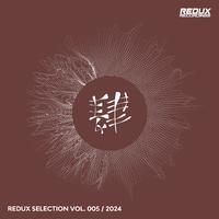 Redux Selection, Vol. 5 / 2024