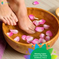 Relaxing Indian Luxury Spa Tunes Ambience, Vol. 6