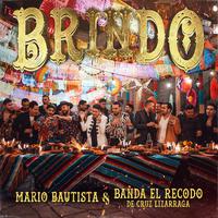 Brindo