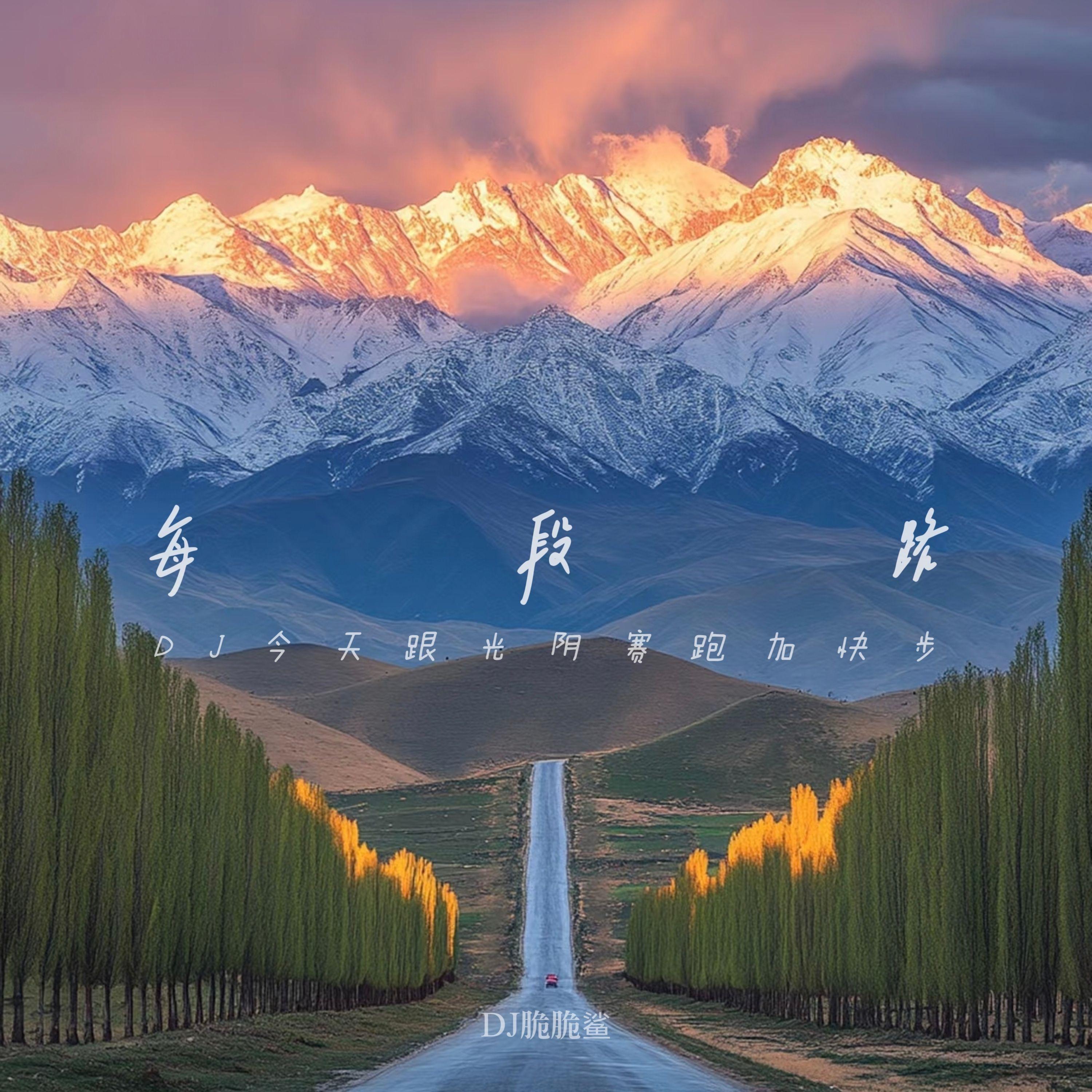 每段路 (DJ版)封面