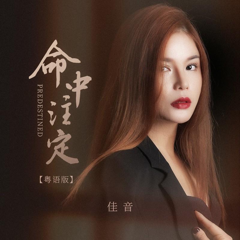 命中注定 (粤语版)封面