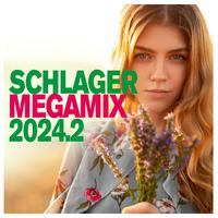 Schlager Megamix 2024.2