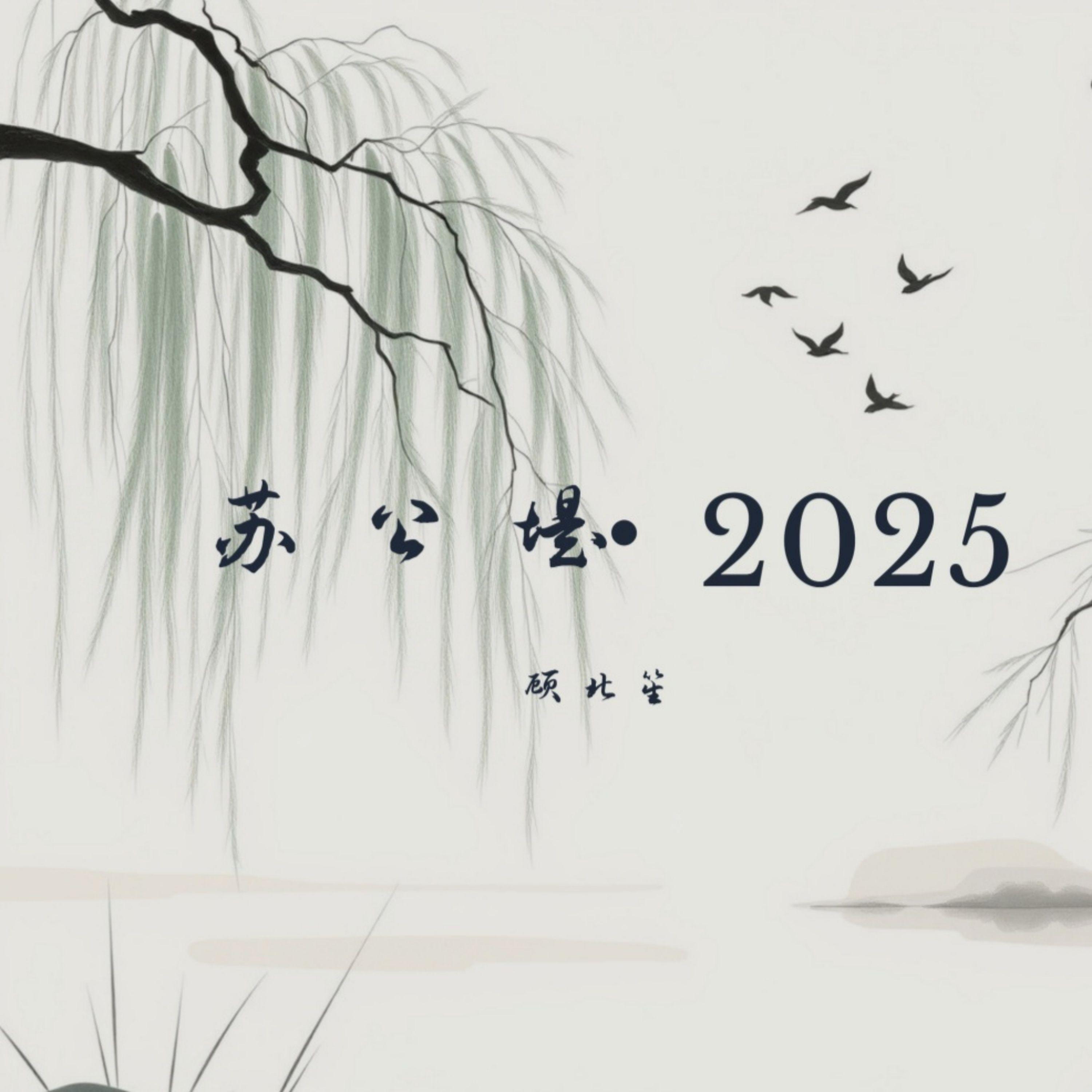 苏公堤·2025封面