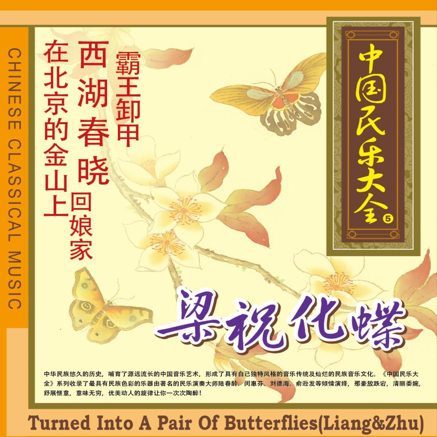 梁祝化蝶 - 上海铭佳乐队封面