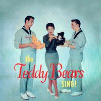 Presenting The Teddy Bears