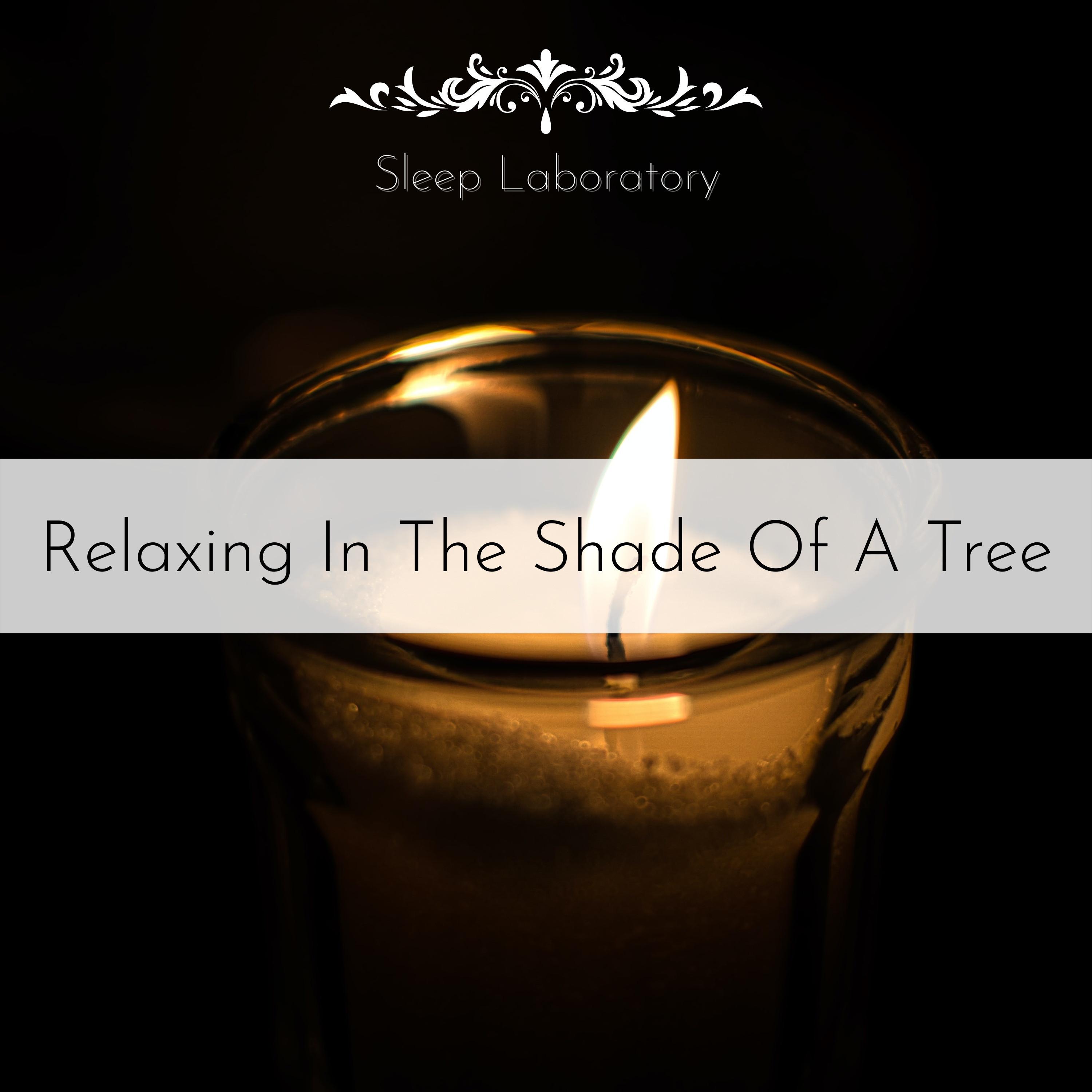 Cafe at the End of the Universe Sleep Laboratory 单曲 网易云音乐