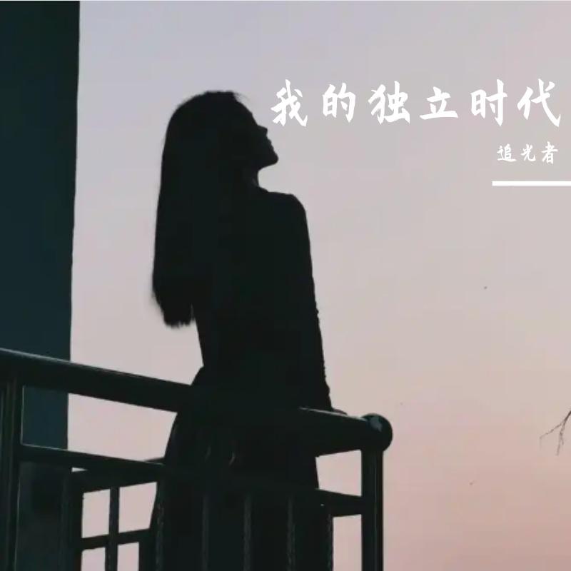 我的独立时代封面