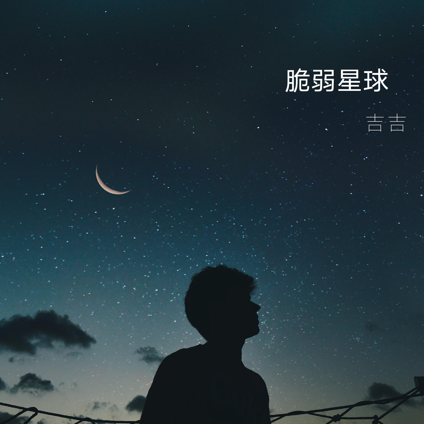脆弱星球封面