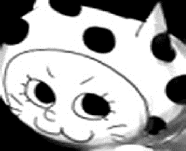 YM