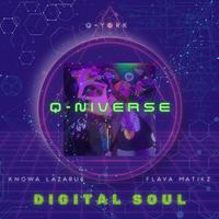 Digital Soul