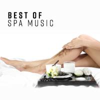 Best of Spa Music (Ultimate Wellness Center Sounds, Perfect Background Music for Relaxation, Meditation, Sleep, Massage)