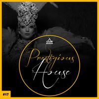 Prestigious House, Vol. 17