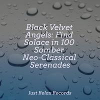 Black Velvet Angels: Find Solace in 100 Somber Neo-Classical Serenades