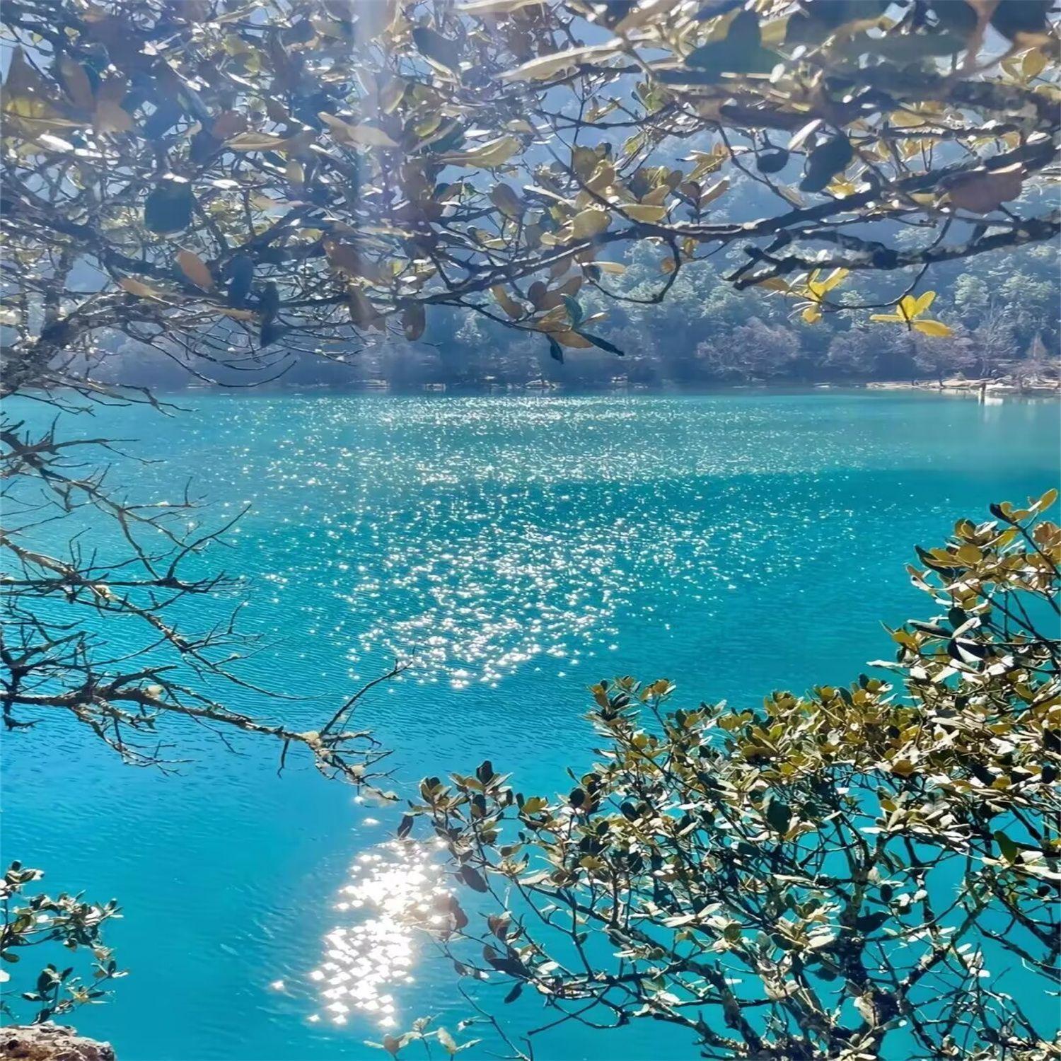 简单的歌封面